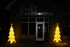 roots-cafe